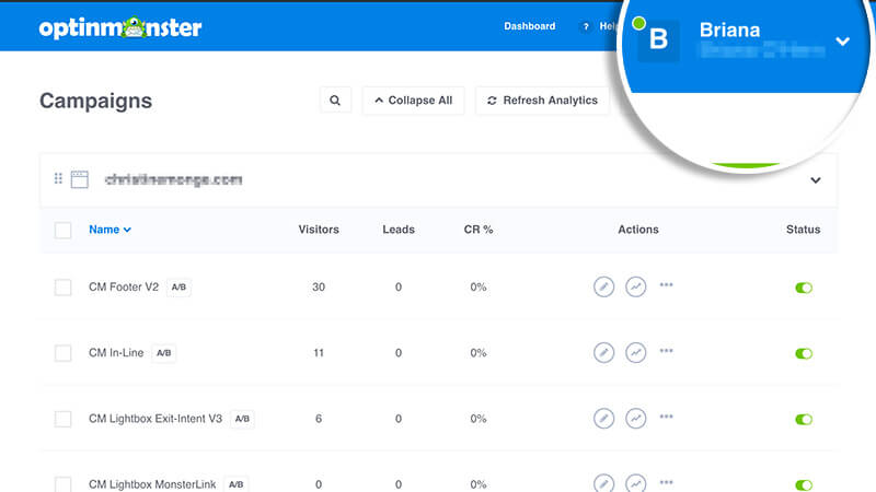 11-Focus-on-Account-Name - OptinMonster Click on Account Name