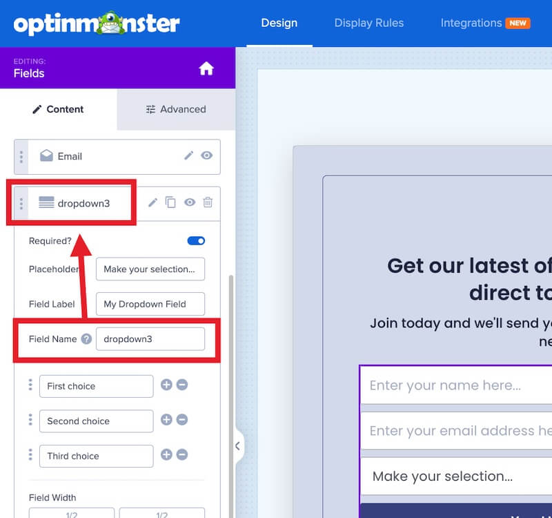 Customize the name for your fields in OptinMonster. - OptinMonster Customize the name for your fields in OptinMonster.