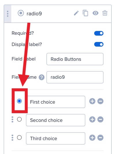 Default radio option in OptinMonster. - OptinMonster Default radio option in OptinMonster.