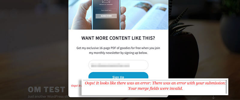 Required-Field-Error-on-campaign - OptinMonster Required-Field-Error-on-campaign