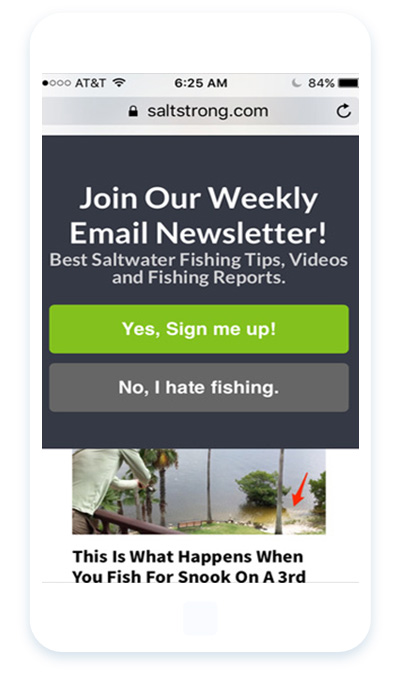 saltstrong-optinmonster-mobile-optin-slidein - OptinMonster saltstrong-optinmonster-mobile-optin-slidein