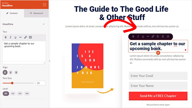 SeedProd text editing - OptinMonster SeedProd text editing