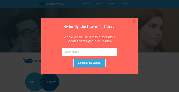 wholewhale cross sell popup - OptinMonster wholewhale cross sell popup