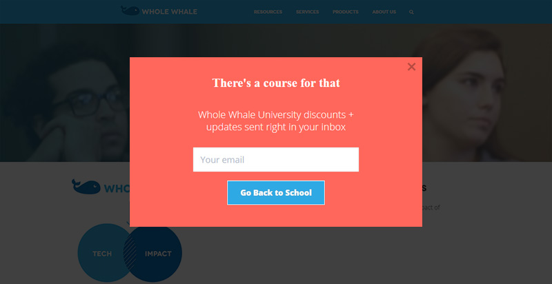 wholewhale-split-test-1 - OptinMonster Split testing headlines can increase conversions.
