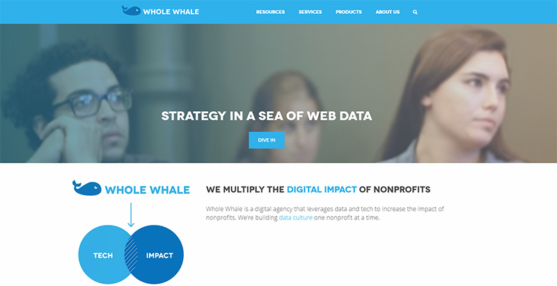 wholewhale - OptinMonster Whole Whale Uses OptinMonster