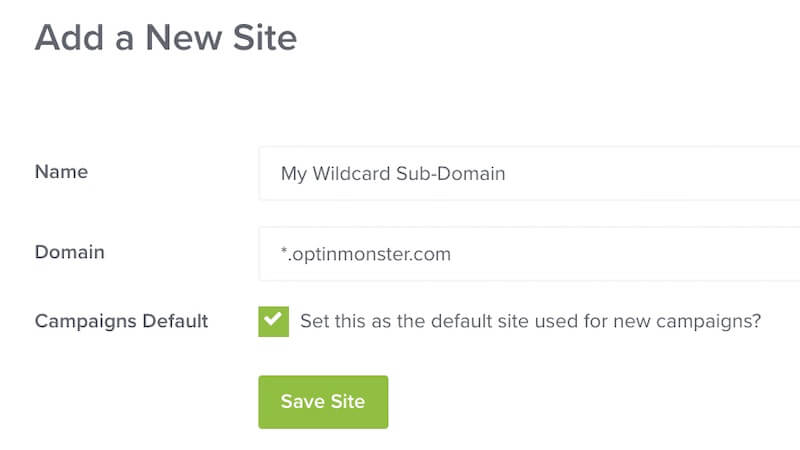 Registering a Wildcard Sub-Domain in OptinMonster. - OptinMonster Registering a Wildcard Sub-Domain in OptinMonster.