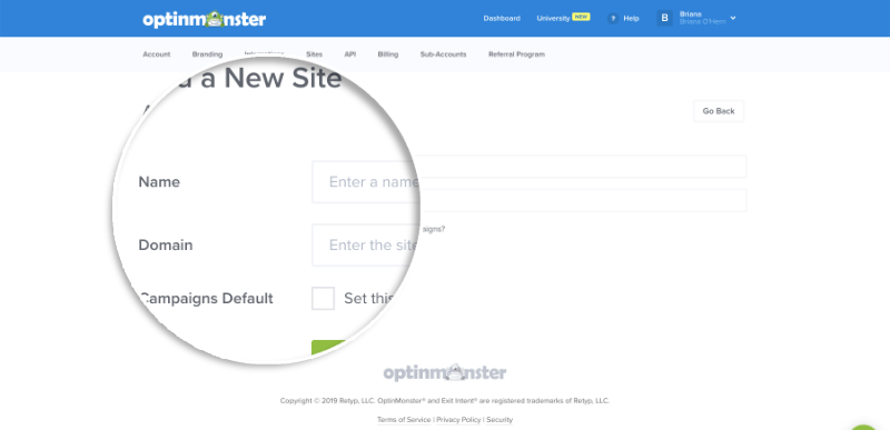 03-name-domain - OptinMonster Site Name and Domain