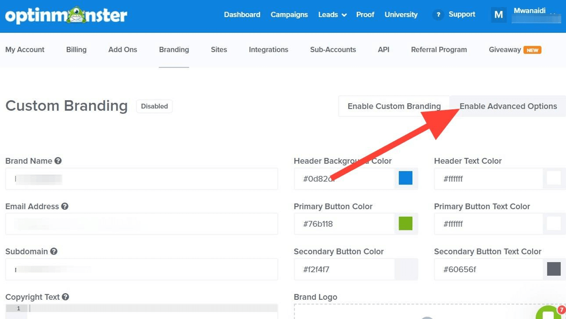 account-branding-advanced-options-2 - OptinMonster