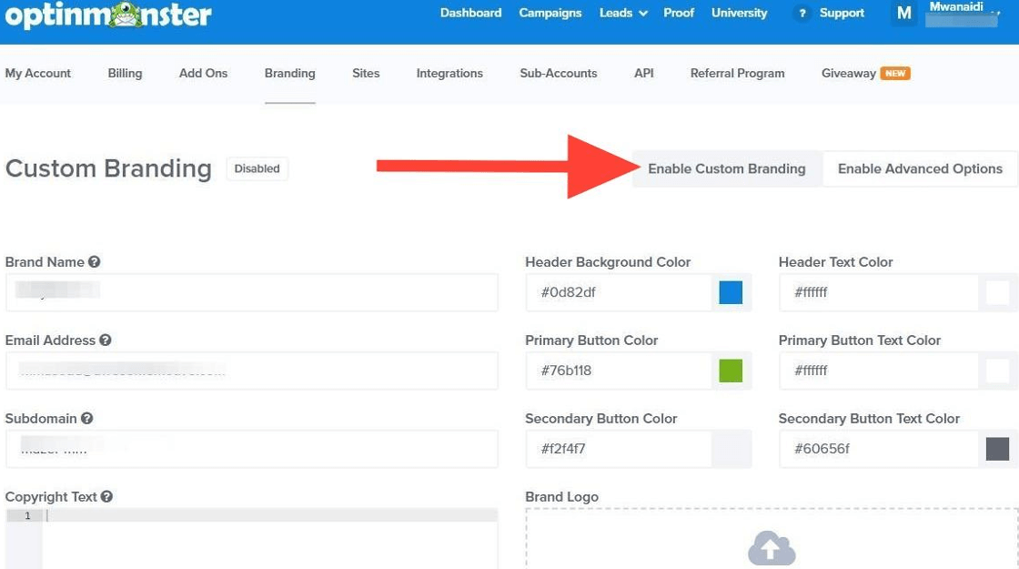 account-branding-enable-2-1 - OptinMonster