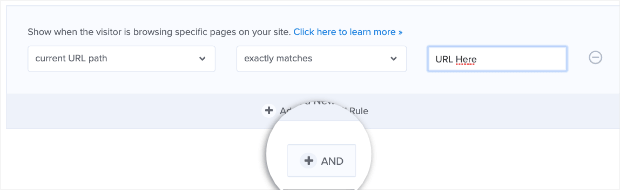 Add another URL to the display rules-min - OptinMonster Add another URL to the display rules