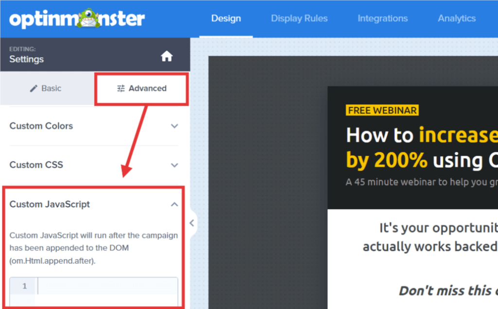 advanced settings custom javascript - OptinMonster