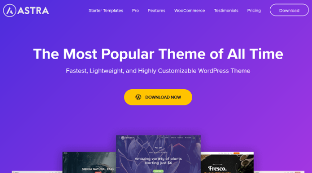 astra-theme - OptinMonster astra best wordpress themes for woocommerce