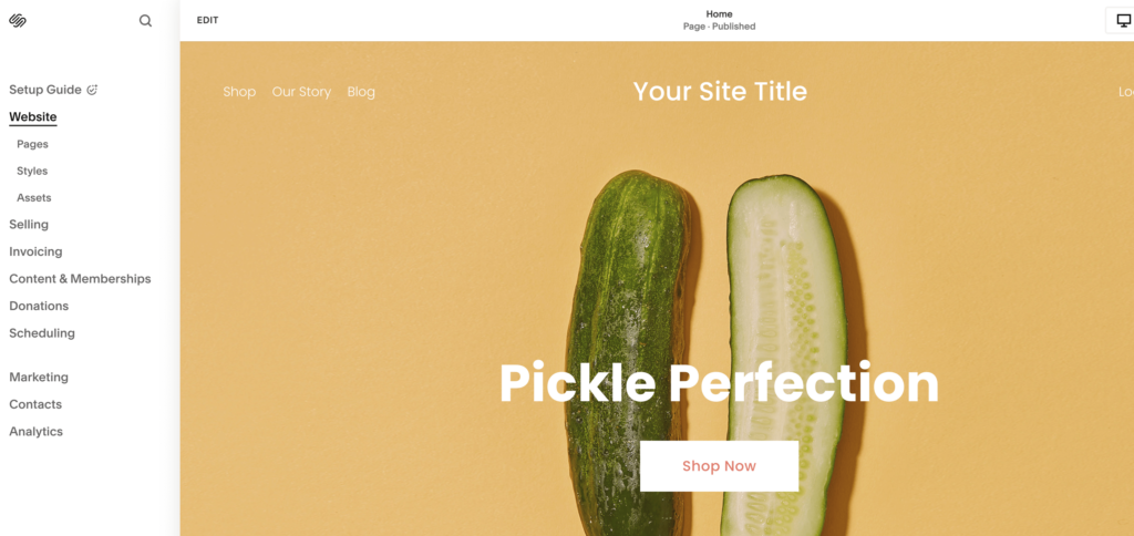 best-website-builder-for-small-business-Squarespace-Dashboard - OptinMonster