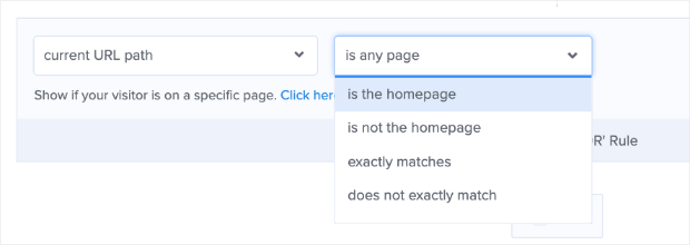 current URL path options-min - OptinMonster current URL path options