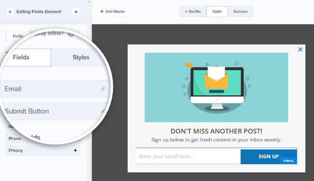 edit_email_field - OptinMonster editing form fields