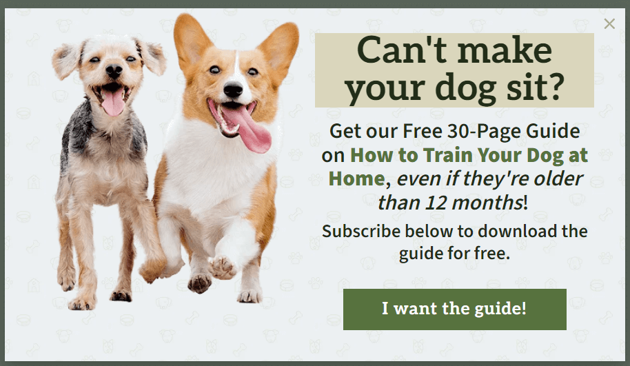 email invite optinmonster campaign - OptinMonster