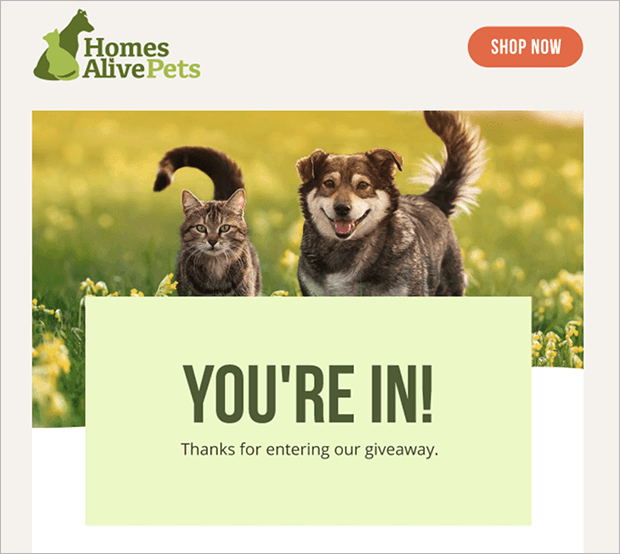 homes-alive-subscription-confirmation - OptinMonster