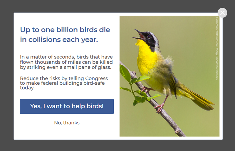 image4 - OptinMonster image4