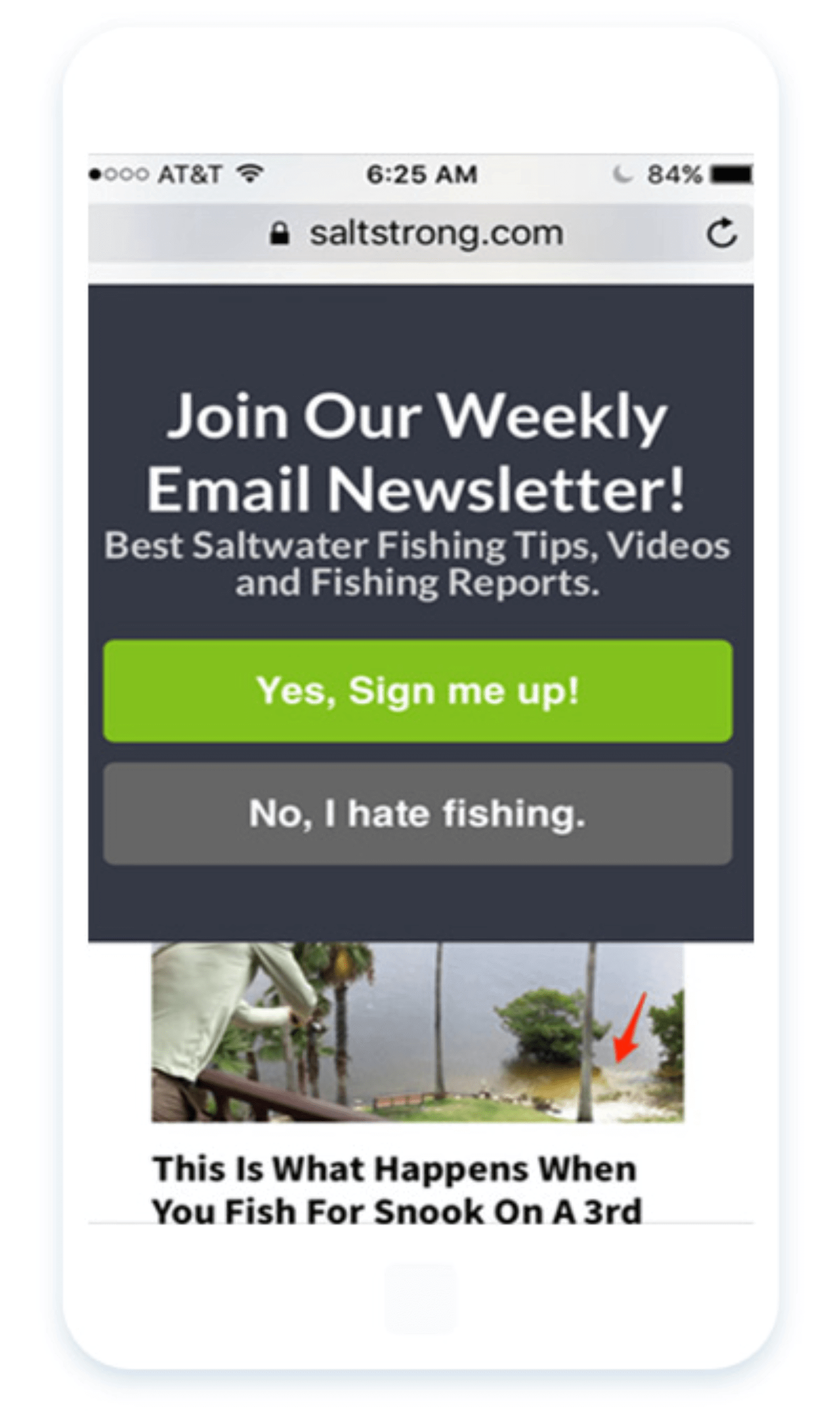 lightbox popup_saltstrong op-min - OptinMonster mobile lightbox popup