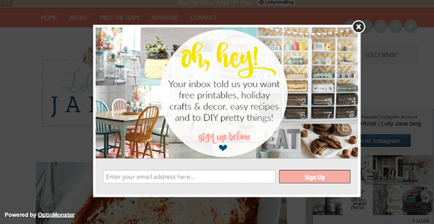 Lolly-Jane-Exit-Intent-Popup - OptinMonster