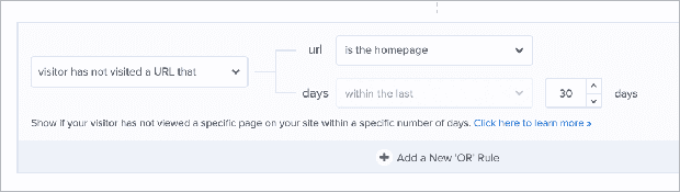 page-targeting - OptinMonster