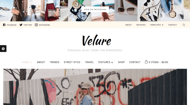 rsz_velure-theme - OptinMonster velure best wordpress theme