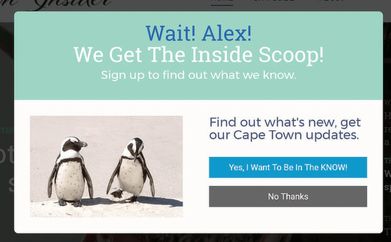 urgency words_south africa-min - OptinMonster urgency words in copywriting