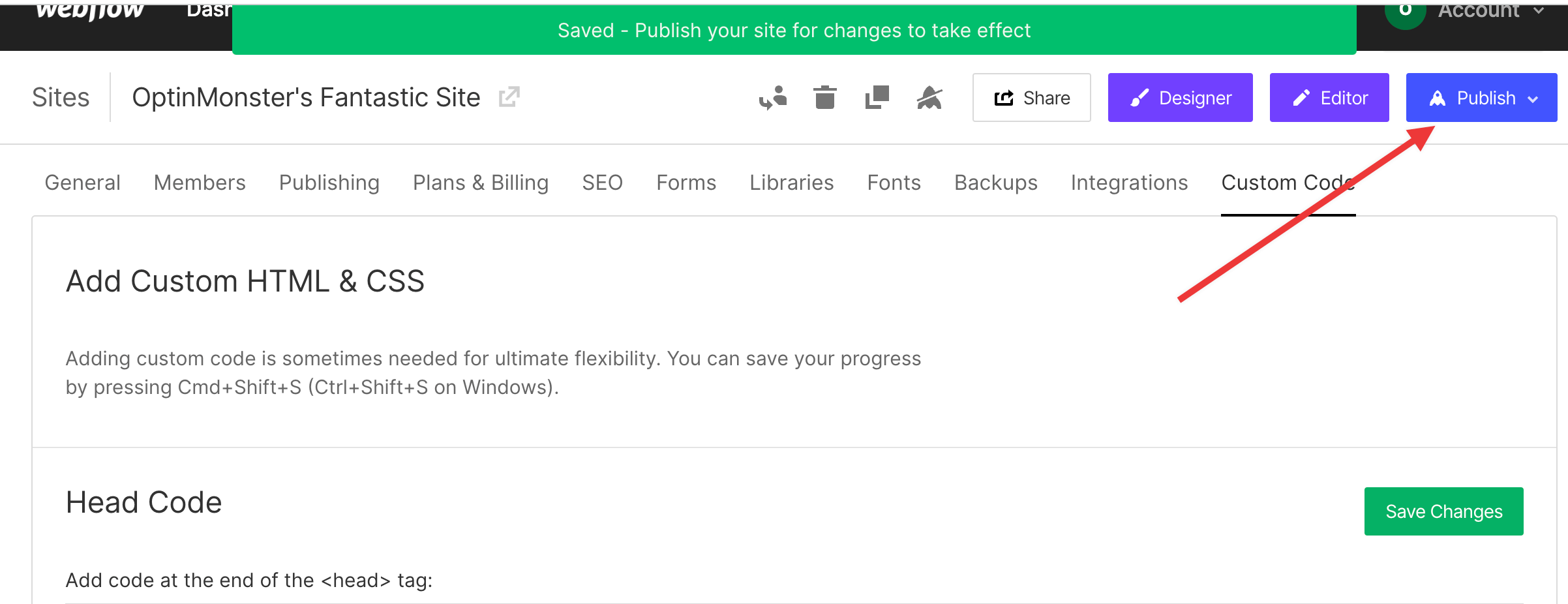 Webflow Publish After Footer Code - OptinMonster Webflow Publish After Footer Code