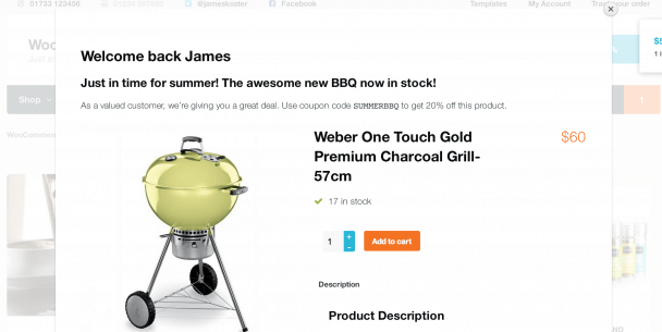 woocommerce splash - OptinMonster woocommerce splash